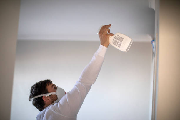 Best Preventive Mold Services in Pickens, SC